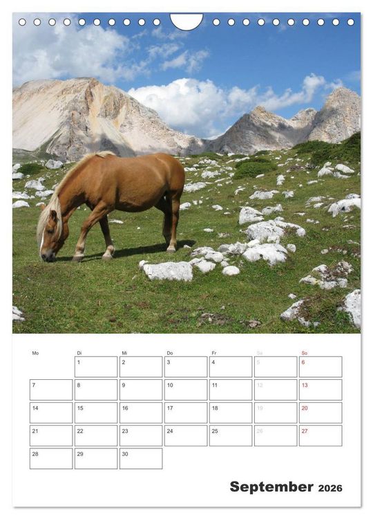 Produktbild: Alta Badia &ndash; Traumlandschaft f&uuml;r Bergsteiger und Wanderer (Wandkalender 2026 DIN A4 hoch), CALVENDO Monatskalender