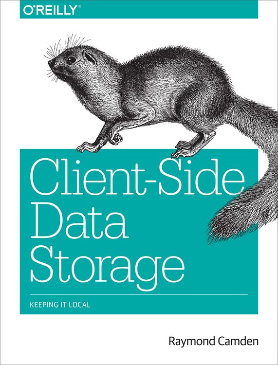 Produktbild: Client-Side Data Storage