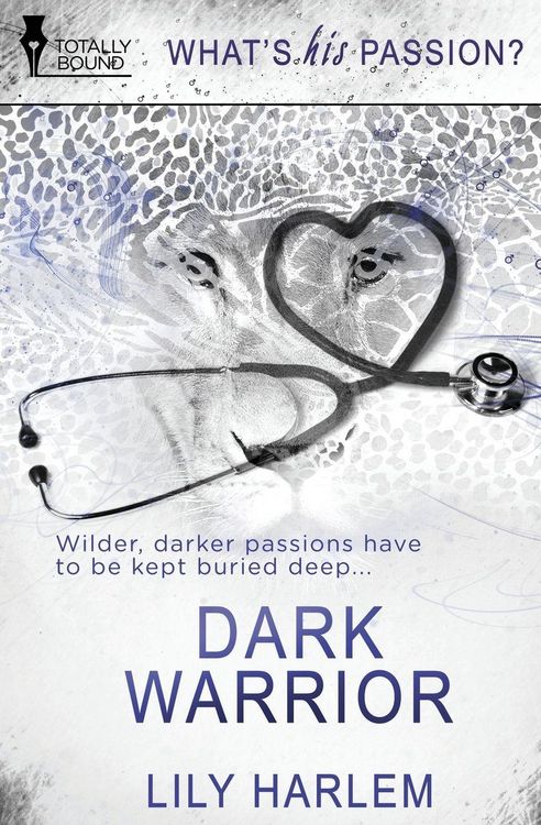 Produktbild: Dark Warrior