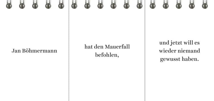 Produktbild: Der Desinformator
