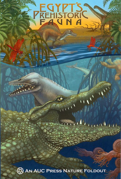 Produktbild: Egypt's Prehistoric Fauna