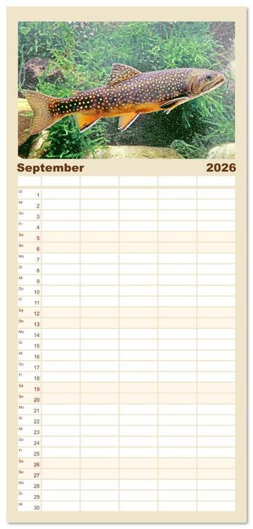 Produktbild: Familienplaner 2026 - Forelle, Hecht und St&ouml;r: Fische in europ&auml;ischen Gew&auml;ssern mit 5 Spalten (Wandkalender, 21 x 45 cm) CALVENDO