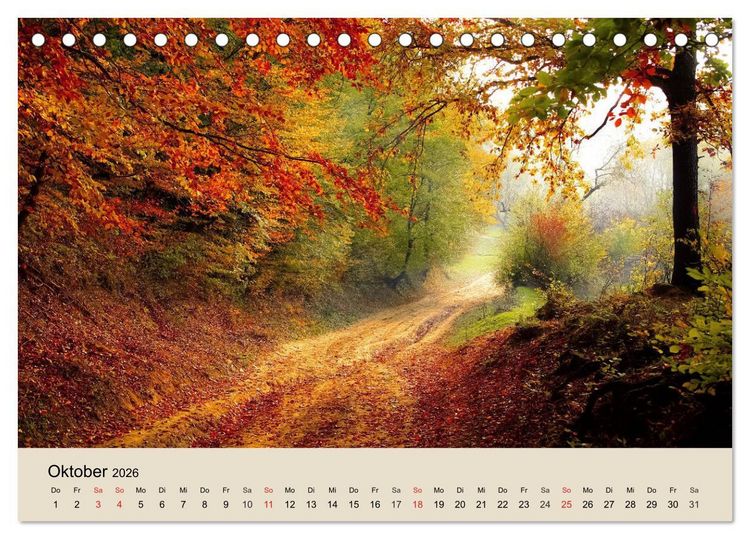 Produktbild: Der Wald. Durch zauberhafte Waldlandschaften (Tischkalender 2026 DIN A5 quer), CALVENDO Monatskalender