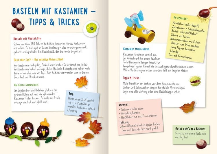 Produktbild: Mein Kastanien-Bastelbuch
