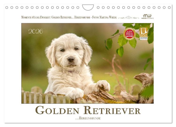 Produktbild: Golden Retriever... Herzenshunde (Wandkalender 2026 DIN A4 quer), CALVENDO Monatskalender