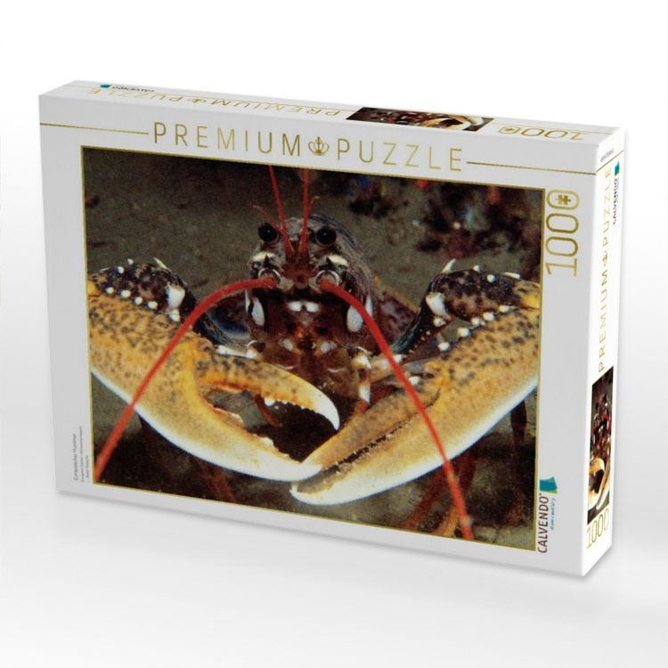 Produktbild: CALVENDO Puzzle Europ&auml;ischer Hummer | 1000 Teile Lege-Gr&ouml;&szlig;e 64x48cm Foto-Puzzle f&uuml;r gl&uuml;ckliche Stunden