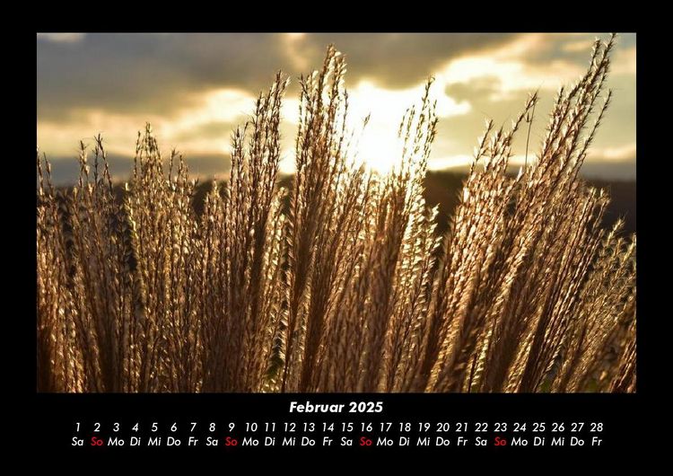 Produktbild: Bilder der Natur 2025 Fotokalender DIN A3