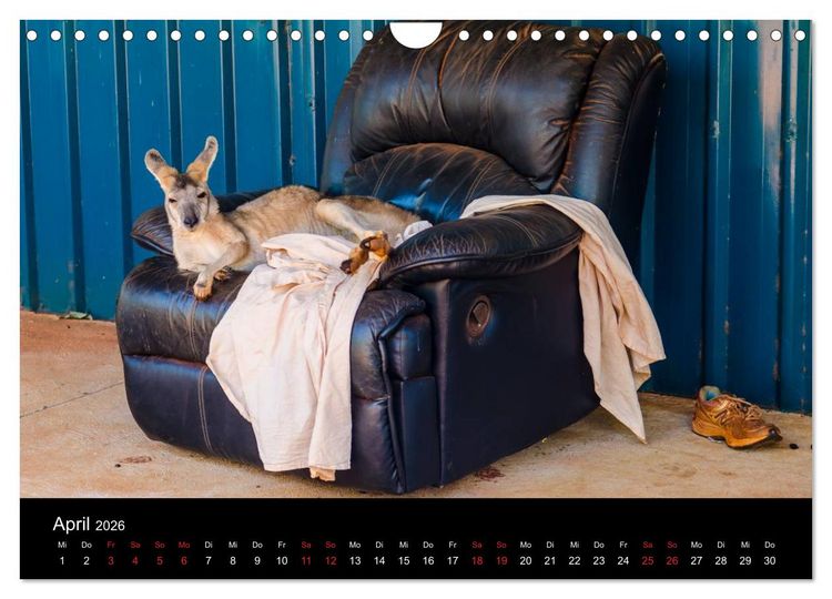 Produktbild: Australien - Der Westen (Wandkalender 2026 DIN A4 quer), CALVENDO Monatskalender