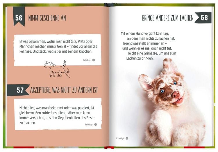 Produktbild: 100 Dinge, die man von einem Hund lernen kann