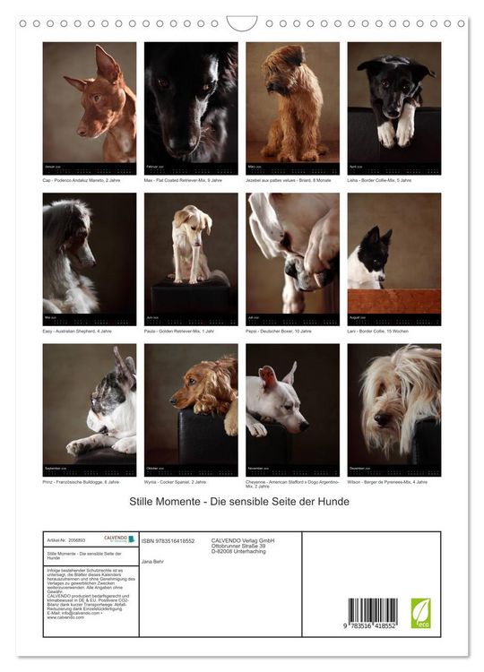 Produktbild: Stille Momente - Die sensible Seite der Hunde (Wandkalender 2026 DIN A3 hoch), CALVENDO Monatskalender
