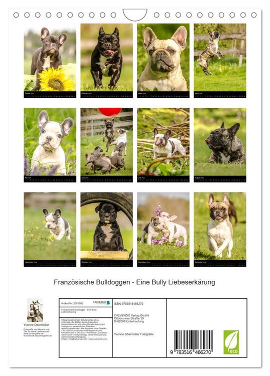 Produktbild: Franz&ouml;sische Bulldoggen - Eine Bully Liebeserk&auml;rung (Wandkalender 2026 DIN A4 hoch), CALVENDO Monatskalender