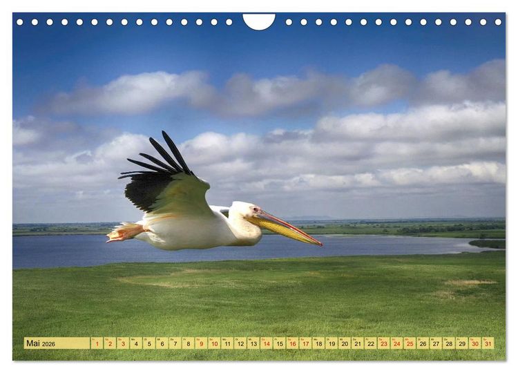 Produktbild: Donaudelta - Europas gro&szlig;es Vogelparadies (Wandkalender 2026 DIN A4 quer), CALVENDO Monatskalender