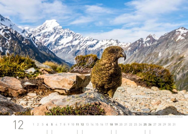 Produktbild: Neuseeland Exklusivkalender 2027