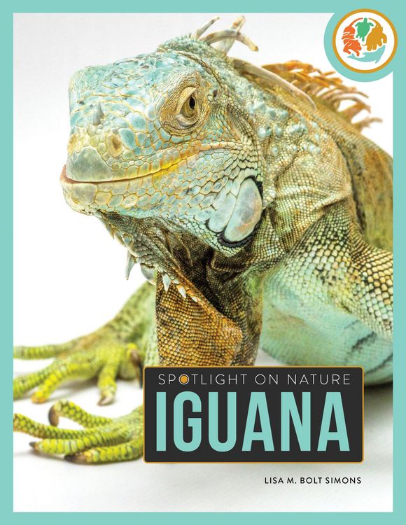 Produktbild: Iguana