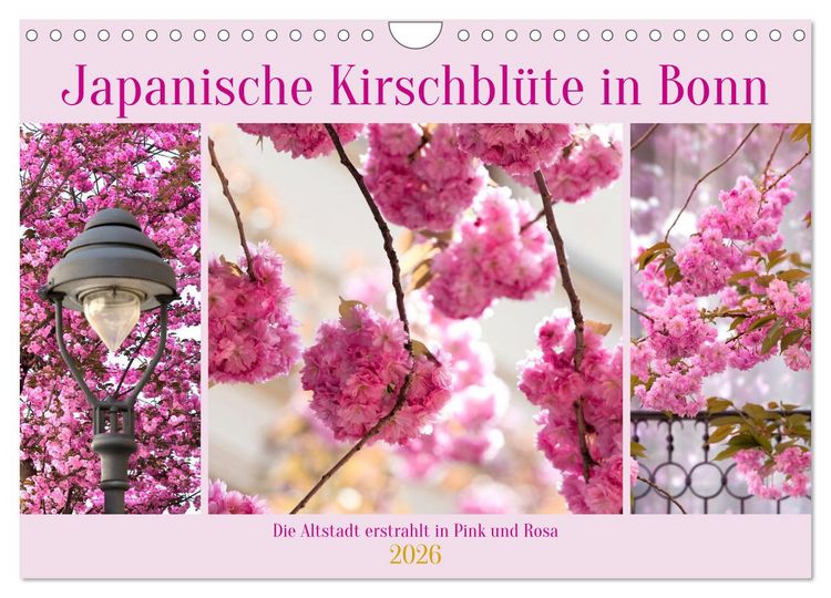 Produktbild: Japanische Kirschbl&uuml;te in Bonn (Wandkalender 2026 DIN A4 quer), CALVENDO Monatskalender