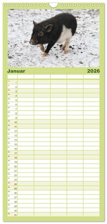 Produktbild: Familienplaner 2026 - Schwein gehabt! mit 5 Spalten (Wandkalender, 21 x 45 cm) CALVENDO