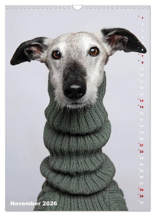 Produktbild: dogmuse deluxe (Wandkalender 2026 DIN A3 hoch), CALVENDO Monatskalender