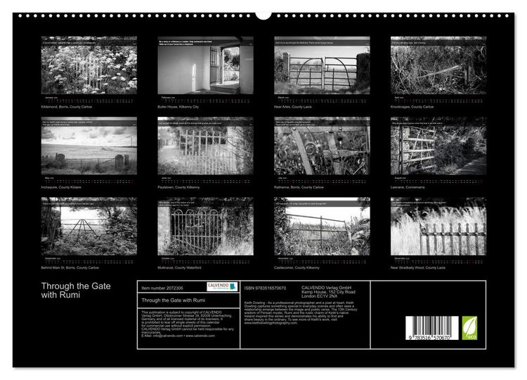 Produktbild: Through the Gate with Rumi (High Quality Premium Wall Calendar 2026 DIN A2 landscape),CALVENDO 12 Month Wall Calendar