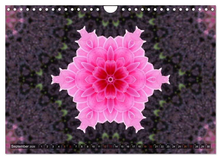 Produktbild: Natur im Kaleidoskop (Wandkalender 2026 DIN A4 quer), CALVENDO Monatskalender