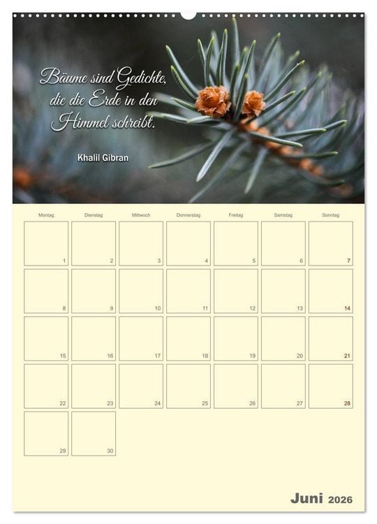 Produktbild: Gartenliebe (Wandkalender 2026 DIN A2 hoch), CALVENDO Monatskalender