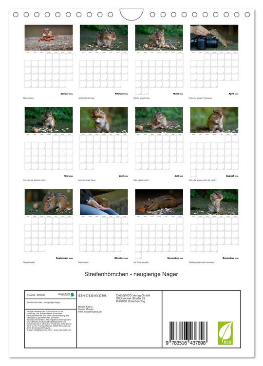 Produktbild: Streifenh&ouml;rnchen - neugierige Nager (Wandkalender 2026 DIN A4 hoch), CALVENDO Monatskalender