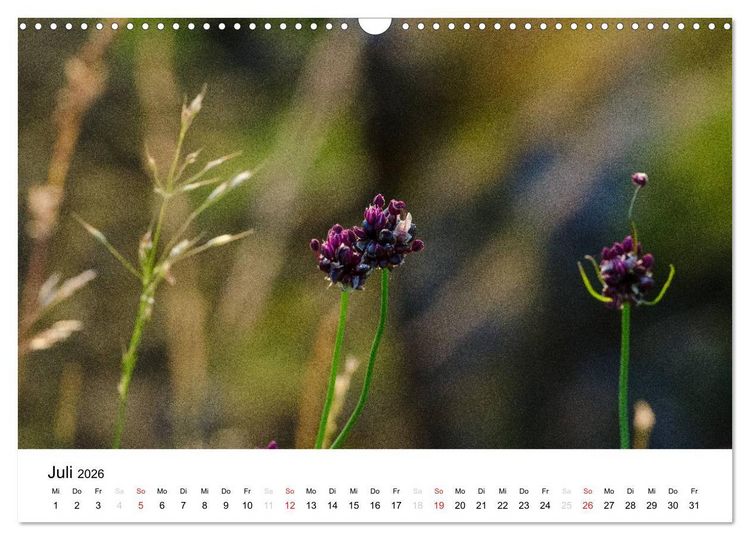 Produktbild: Bornholm (Wandkalender 2026 DIN A3 quer), CALVENDO Monatskalender