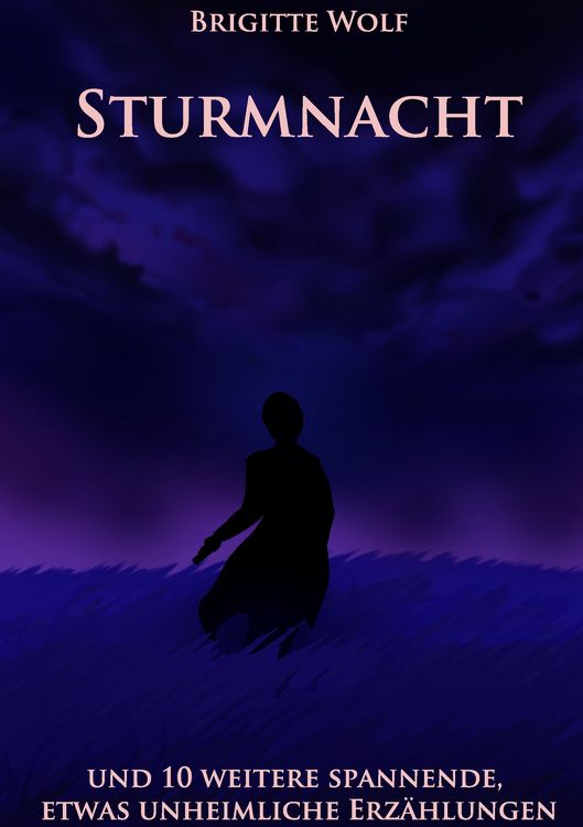 Produktbild: Sturmnacht