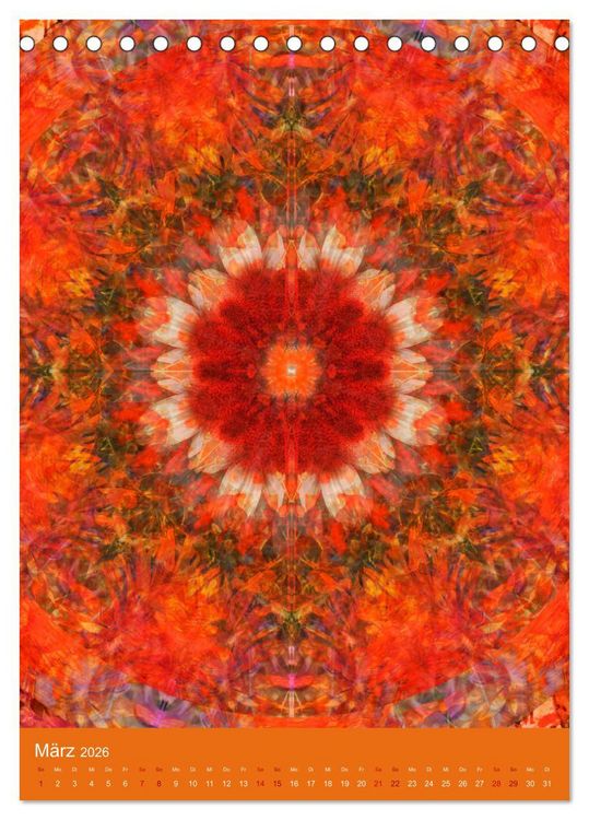 Produktbild: Meditative Pflanzenmandalas (Tischkalender 2026 DIN A5 hoch), CALVENDO Monatskalender