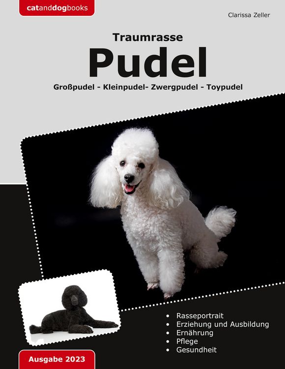 Produktbild: Traumrasse: Pudel