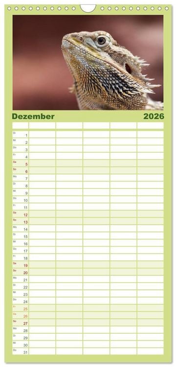Produktbild: Familienplaner 2026 - Echsen - Schuppige &Uuml;berlebensk&uuml;nstler mit 5 Spalten (Wandkalender, 21 x 45 cm) CALVENDO