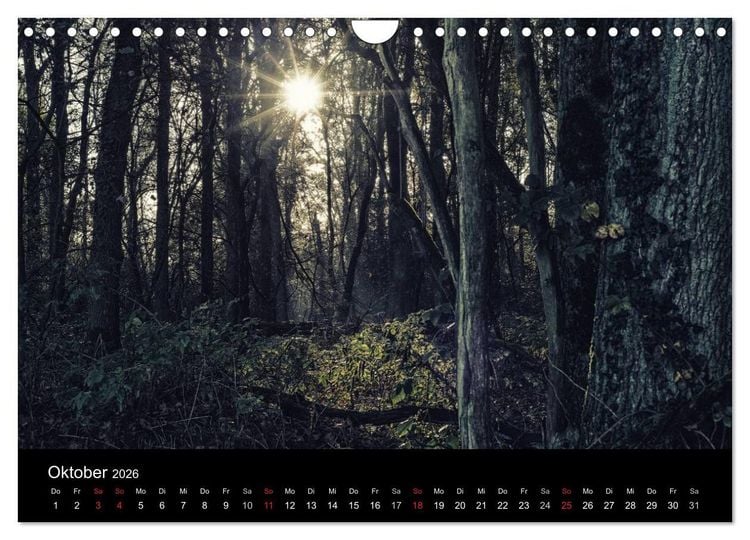 Produktbild: Mystische W&auml;lder (Wandkalender 2026 DIN A4 quer), CALVENDO Monatskalender