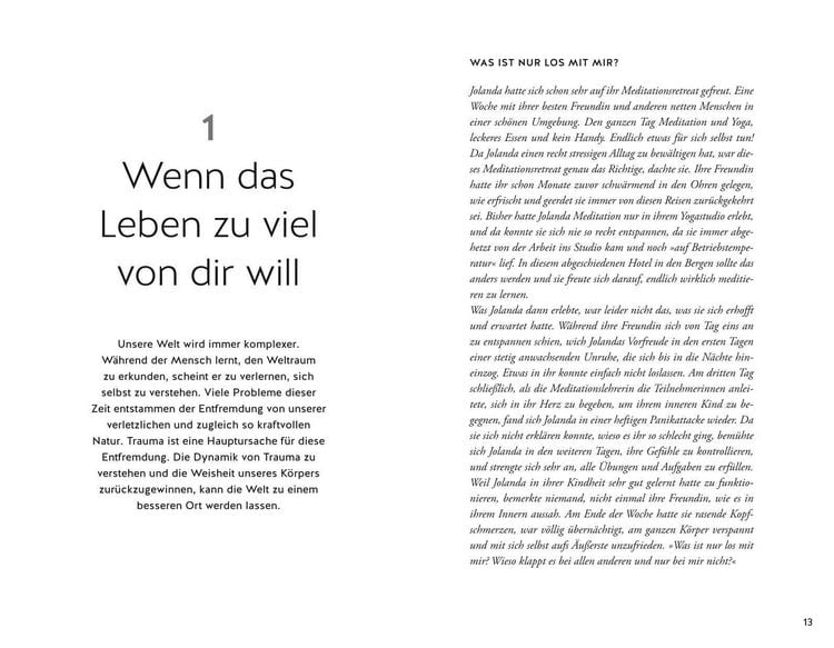 Produktbild: Bin ich traumatisiert?
