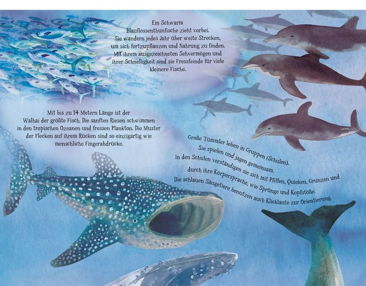 Produktbild: Unter mir das Meer