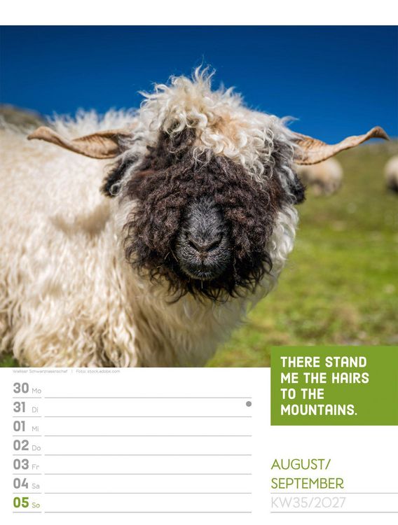 Produktbild: Tierisch Spr&uuml;chekalender Wochenplaner 2027