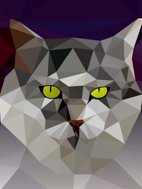 Produktbild: CALVENDO Puzzle Katze | 1000 Teile Lege-Gr&ouml;&szlig;e 64x48cm Foto-Puzzle f&uuml;r gl&uuml;ckliche Stunden