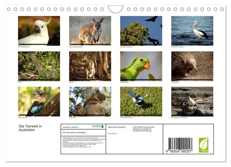 Produktbild: Die Tierwelt in Australien (Wandkalender 2026 DIN A4 quer), CALVENDO Monatskalender