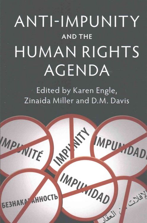 Produktbild: Anti-Impunity and the Human Rights Agenda