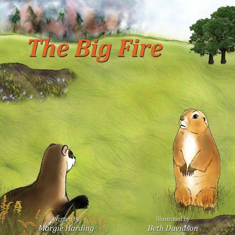 Produktbild: The Big Fire