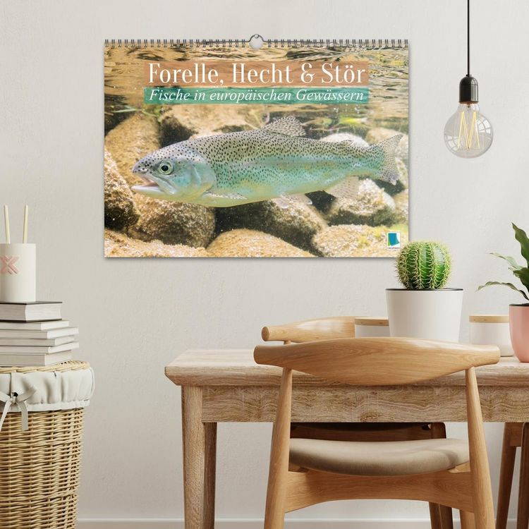 Produktbild: Forelle, Hecht und St&ouml;r: Fische in europ&auml;ischen Gew&auml;ssern (Wandkalender 2026 DIN A3 quer), CALVENDO Monatskalender