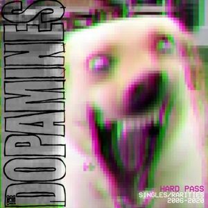 Produktbild: Hard Pass: Singles/Rarities 2006-2020
