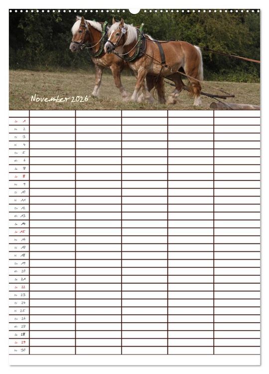 Produktbild: Der Kaltblut-Familienplaner (Wandkalender 2026 DIN A2 hoch), CALVENDO Monatskalender