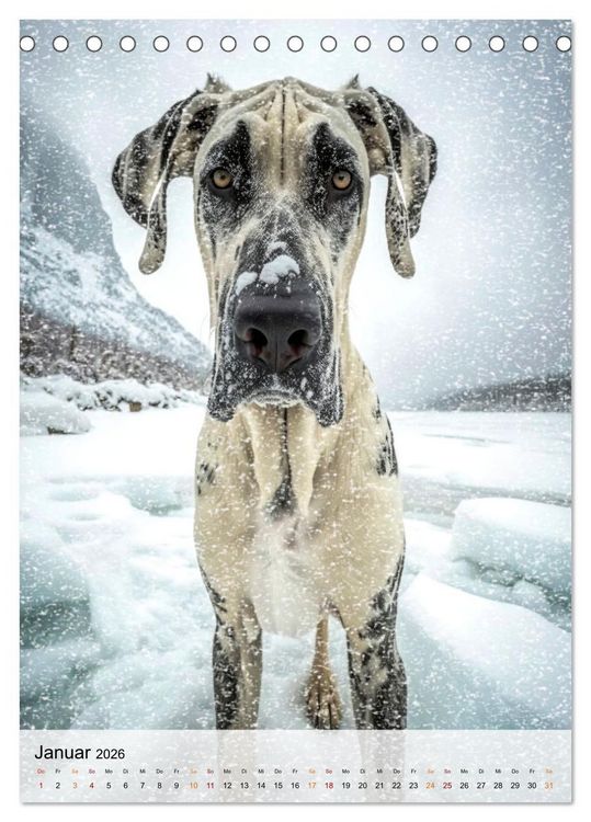 Produktbild: Deutsche Dogge - freundlicher Riese (Tischkalender 2026 DIN A5 hoch), CALVENDO Monatskalender