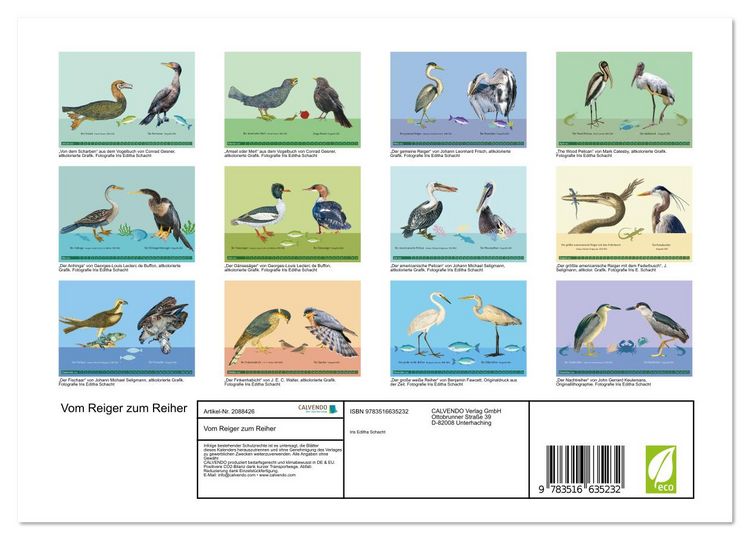 Produktbild: Vom Reiger zum Reiher (Wandkalender 2026 DIN A4 quer), CALVENDO Monatskalender