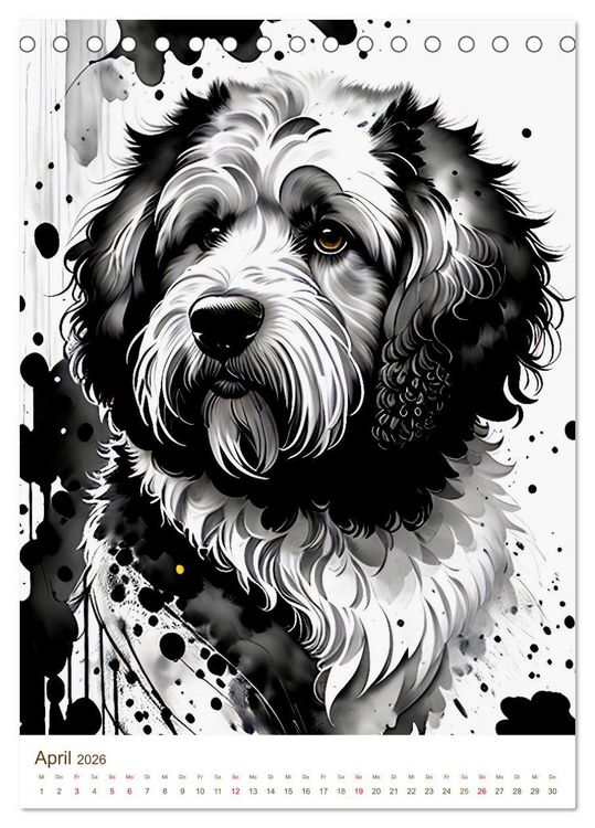 Produktbild: Der Labradoodle (Tischkalender 2026 DIN A5 hoch), CALVENDO Monatskalender