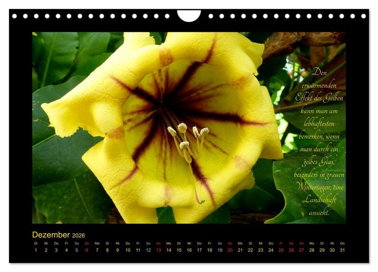 Produktbild: Goethes Gelb Gedanken zur Farbe (Wandkalender 2026 DIN A4 quer), CALVENDO Monatskalender