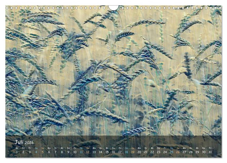 Produktbild: Surreales Farbspiel (Wandkalender 2026 DIN A3 quer), CALVENDO Monatskalender