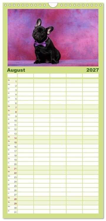 Produktbild: Familienplaner 2027 - Der Bully - Kalender Familienplaner hoch mit 5 Spalten (Wandkalender, 21 x 45 cm) CALVENDO