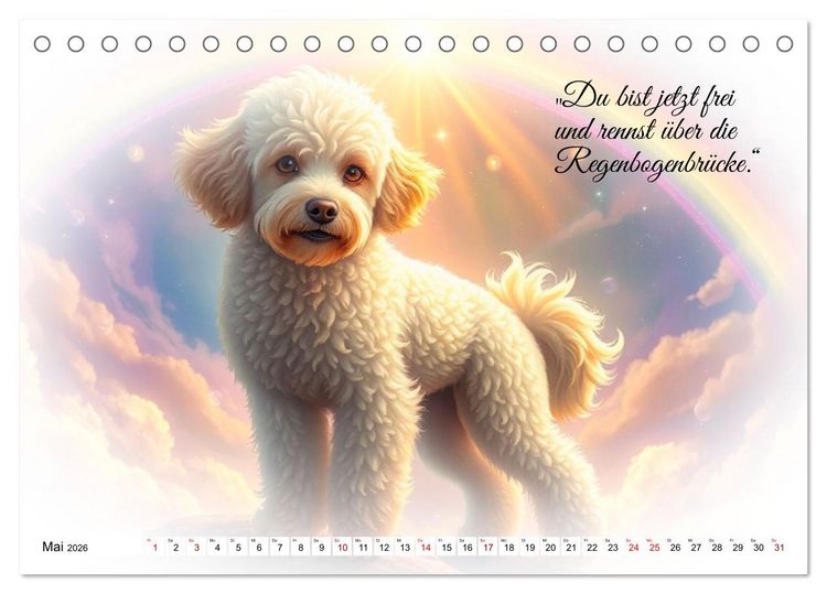 Produktbild: Hunde &uuml;ber der Regenbogenbr&uuml;cke (Tischkalender 2026 DIN A5 quer), CALVENDO Monatskalender