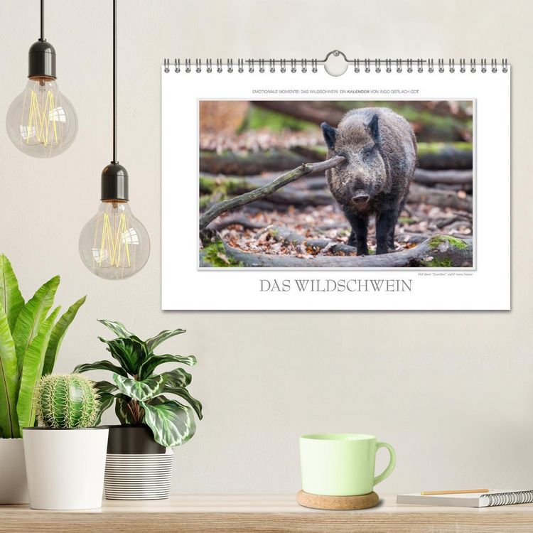 Produktbild: Emotionale Momente: Das Wildschwein. / CH-Version (Wandkalender 2026 DIN A4 quer), CALVENDO Monatskalender
