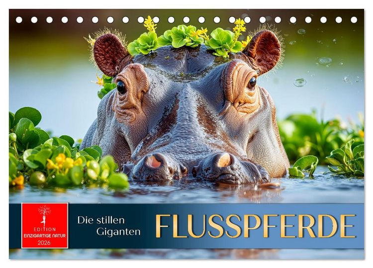 Produktbild: Flusspferde - die stillen Giganten (Tischkalender 2026 DIN A5 quer), CALVENDO Monatskalender